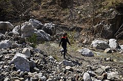 _DSC6694