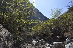 _DSC6695