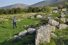 _DSC6768
