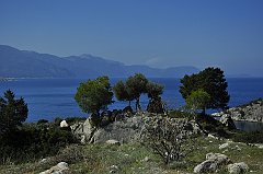 _DSC6796