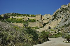 _DSC6893