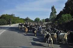 _DSC7014
