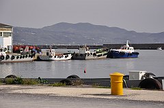 _DSC7339