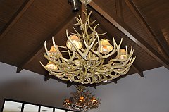 _DSC7345