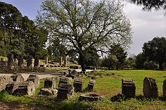 _DSC7375