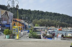 _DSC7454