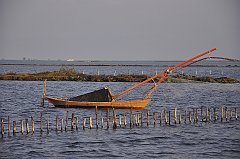 _DSC7501