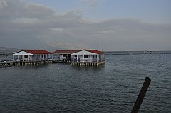 _DSC7532