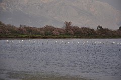 _DSC7542