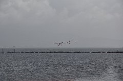 _DSC7583