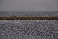 _DSC7590