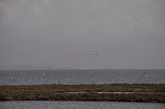 _DSC7592
