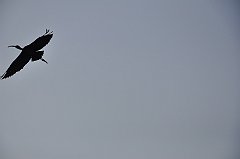 _DSC7602