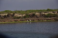 _DSC7606
