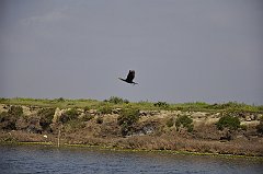 _DSC7620