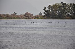 _DSC7657