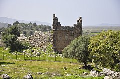 _DSC7713