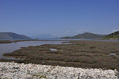 _DSC7727