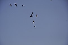 _DSC7765