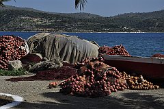 _DSC7780