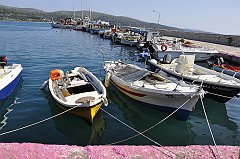 _DSC7782