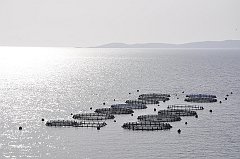 _DSC7816