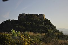 _DSC7847