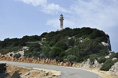 _DSC7929