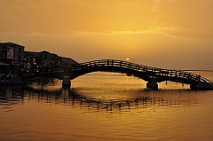 _DSC7950