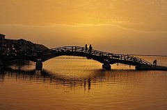 _DSC7954