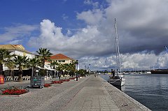 _DSC8007